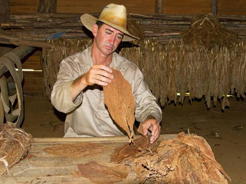Cabalgata: Mogotes-Cueva